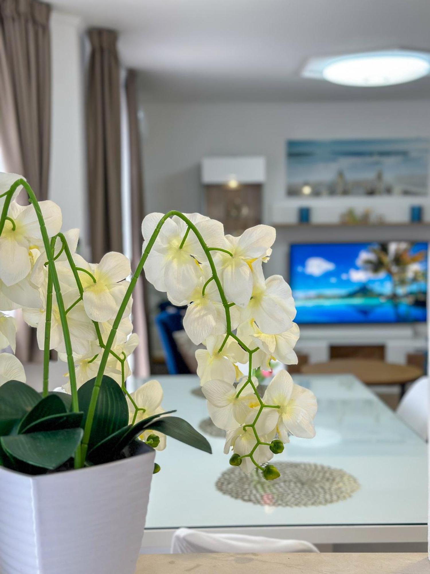 Apartment Stipic 1